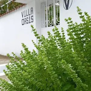  Bed & Breakfast Oasis